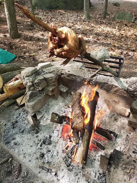 Rogers Rock Campground Picture 9