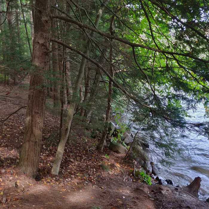 Rogers Rock Campground Picture 8