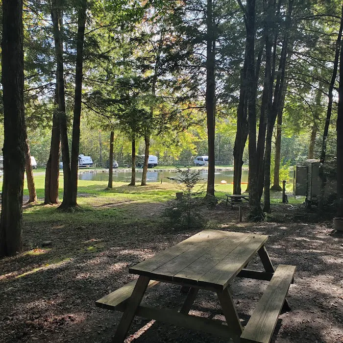 Rest-N-Nest Campground Picture 1