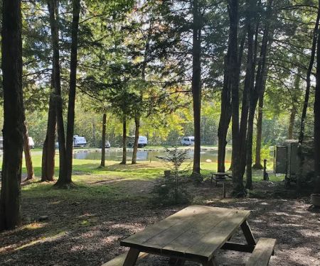 Rest-N-Nest Campground