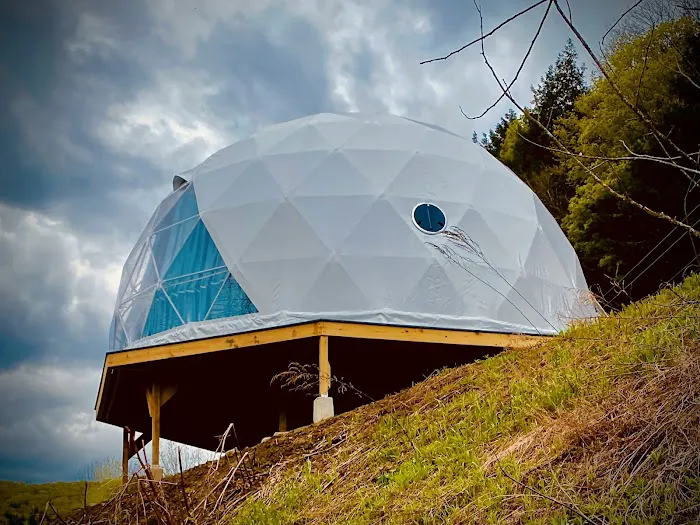 Dome@Meadows Picture 5