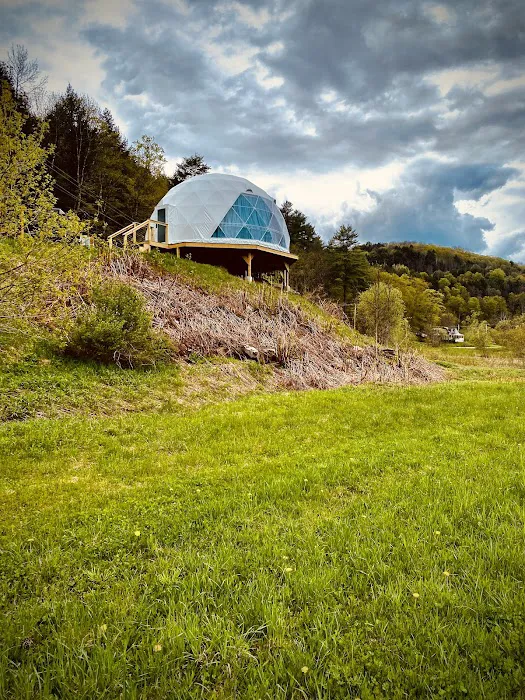 Dome@Meadows Picture 8