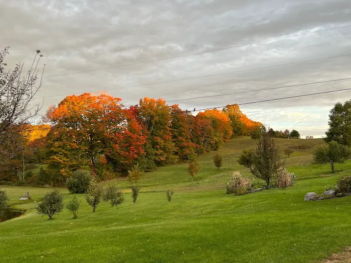 Windswept Acres/Windswept Enterprises LLC Picture 3