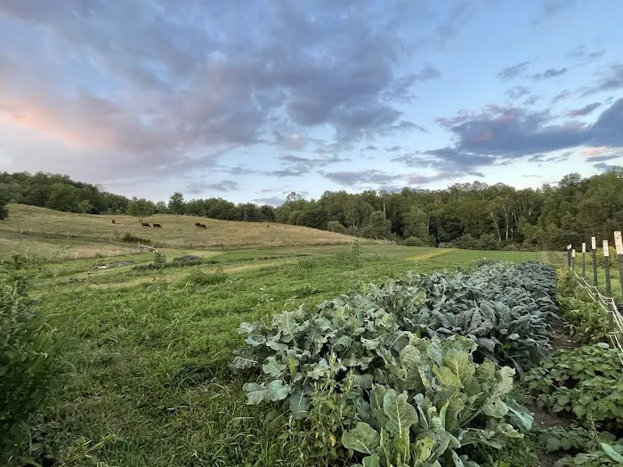 Free Verse Campground Picture 2