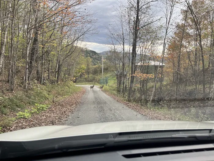 Free Verse Campground Picture 7