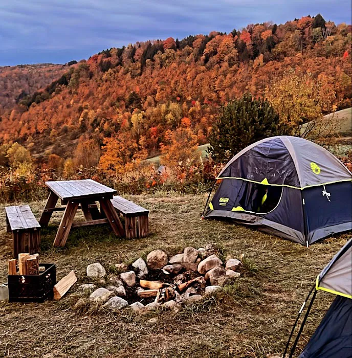 Free Verse Campground Picture 9