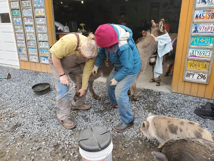 The Greenhouse Picture 6