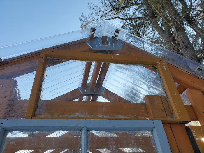 The Greenhouse Picture 4