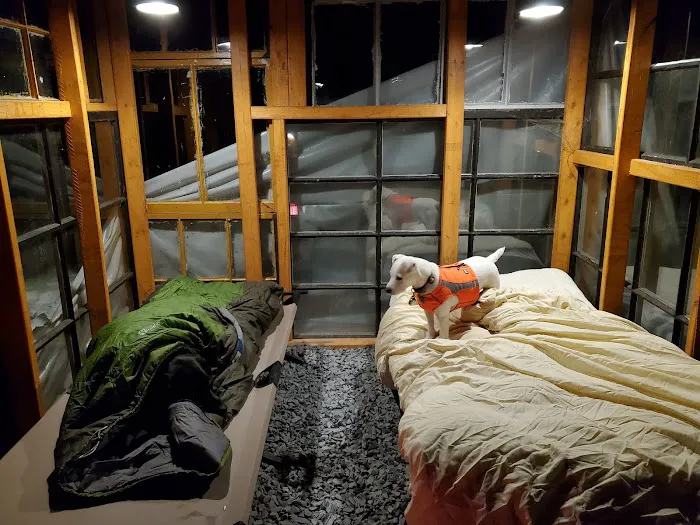 The Greenhouse Picture 2