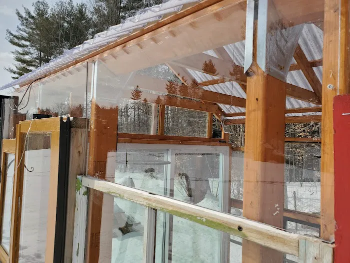 The Greenhouse Picture 7