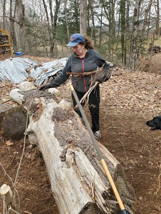Grandmother Pine Tent Deck Picture 2