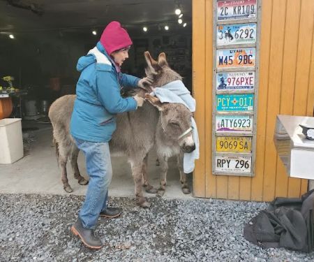 Buddha North Tent Deck
