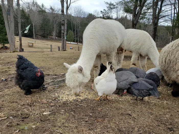 Big Sky Tent Deck Picture 5