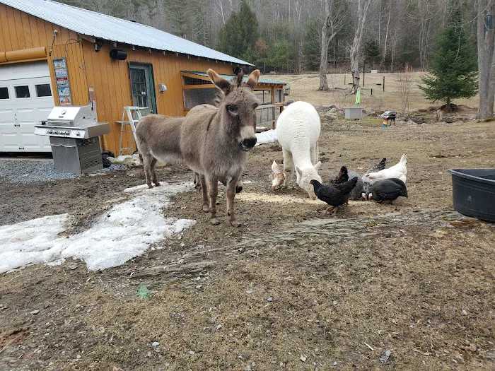 Big Sky Tent Deck Picture 10