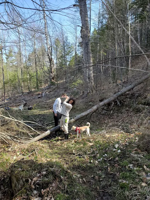 Big Sky Tent Deck Picture 7
