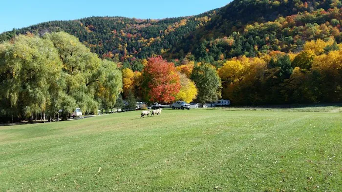 Green Mountain Family Campground Picture 5
