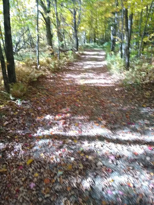 Maple Hill Campsites Picture 3