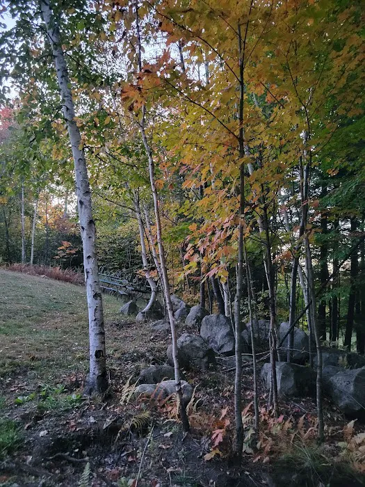 Lazy Lions Campground Picture 2
