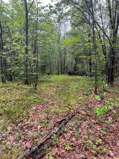 Wondrous Farm Picture 2