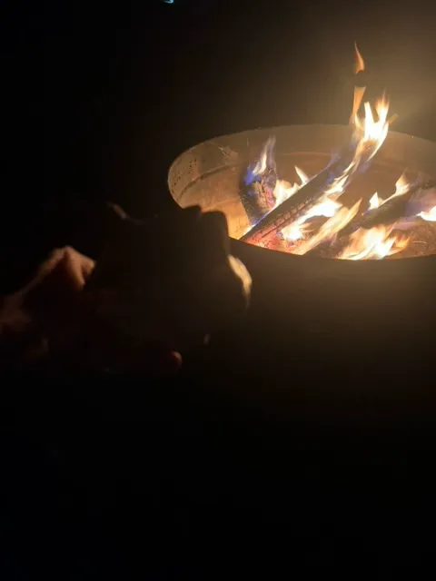 Wondrous Farm Picture 3