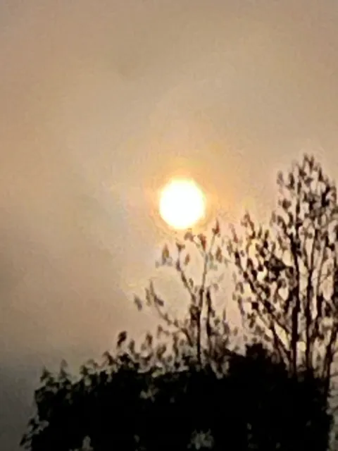 Wondrous Farm Picture 8