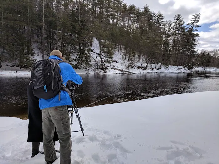 Maple Grove Campground Picture 2