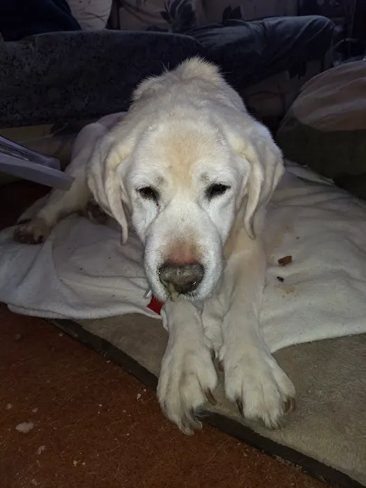 ROCKY ROAD CAMPGROUND INC. Picture 7