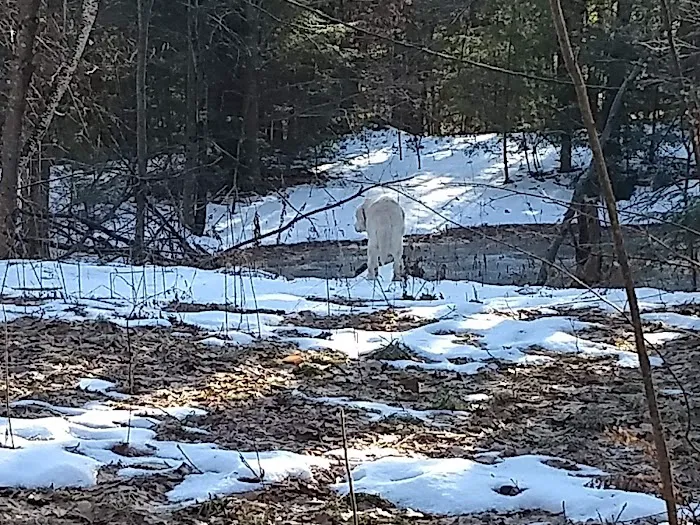 ROCKY ROAD CAMPGROUND INC. Picture 4