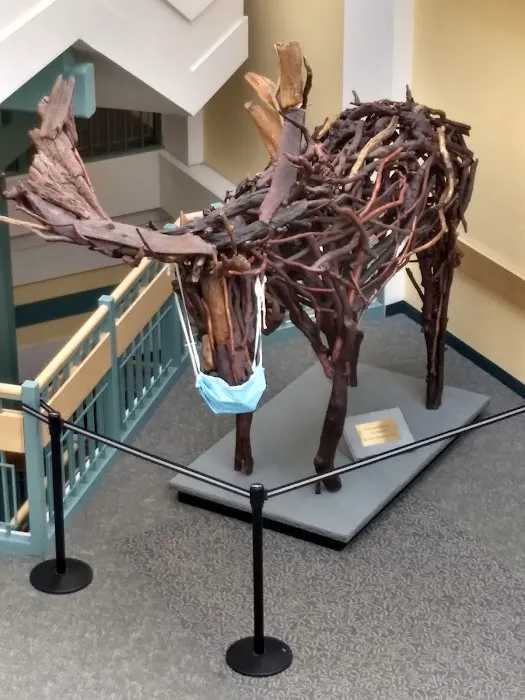 ROCKY ROAD CAMPGROUND INC. Picture 9