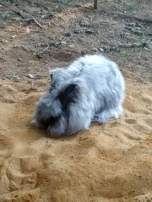 Silver Lake Park Campground (Modern America Campgrounds) Picture 10