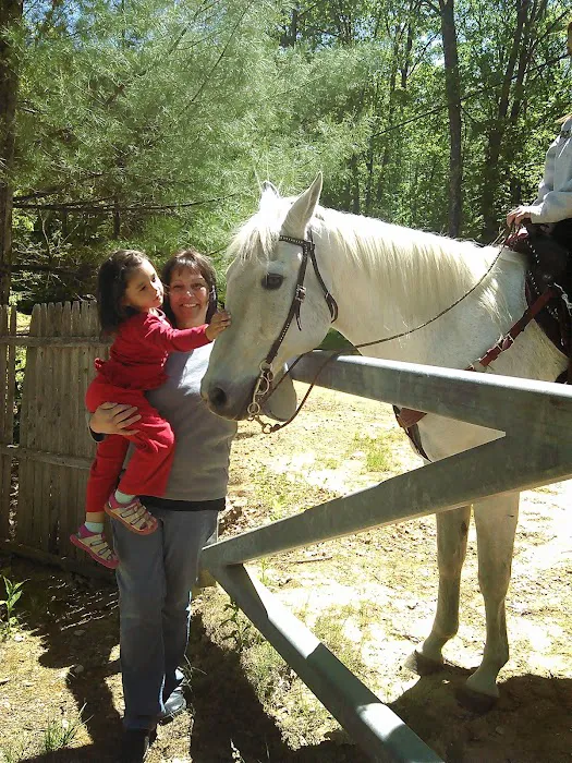 Winnisquam Beach resort Picture 6