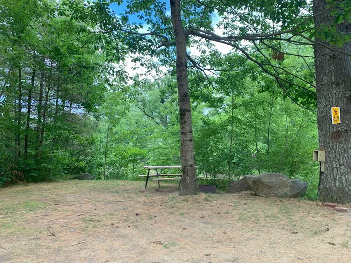 Epsom Valley Campground Picture 5