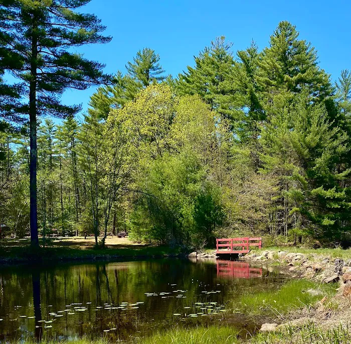 Circle 9 Ranch Campground Picture 2