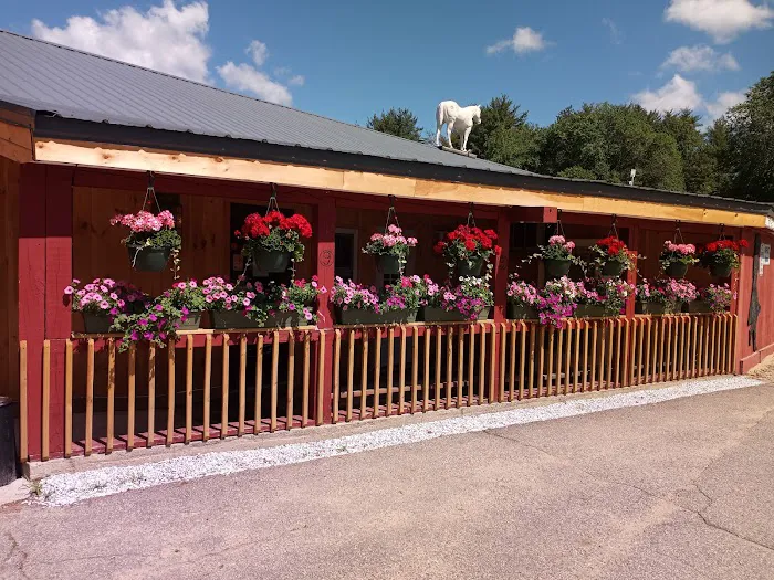 Circle 9 Ranch Campground Picture 3