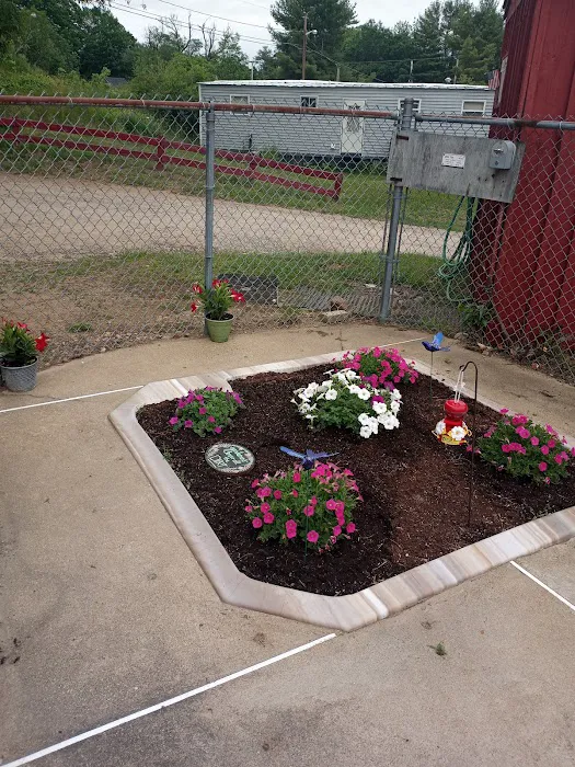 Circle 9 Ranch Campground Picture 4