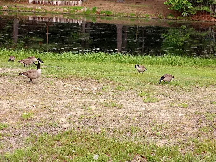 Circle 9 Ranch Campground Picture 9
