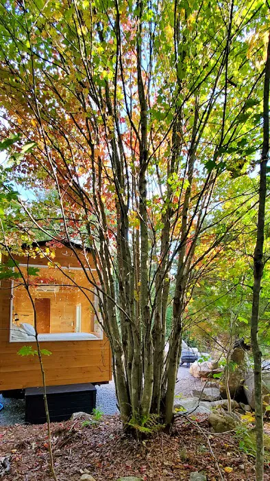 Trailside Stays Picture 2