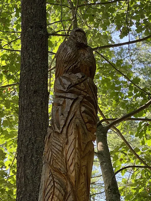 Jacobs Brook Campground Picture 6