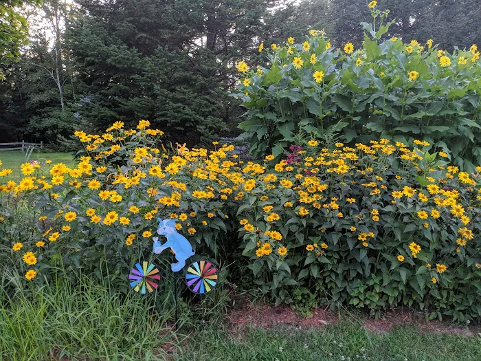 Jacobs Brook Campground Picture 4