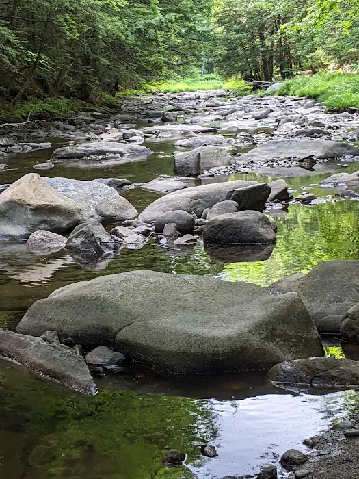 Jacobs Brook Campground Picture 5