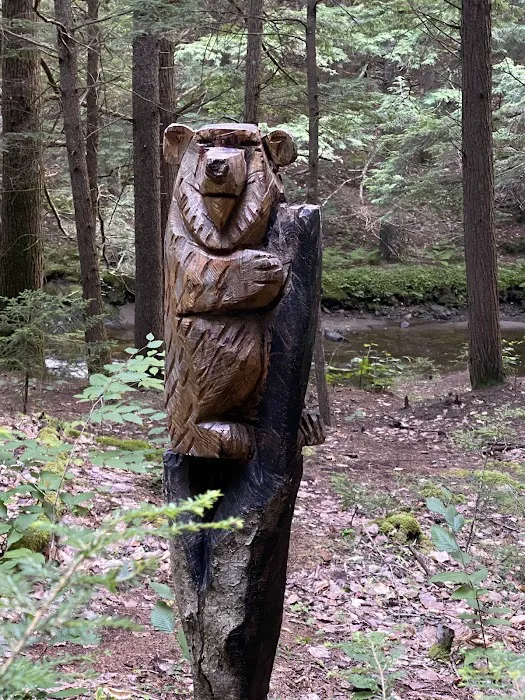 Jacobs Brook Campground Picture 7