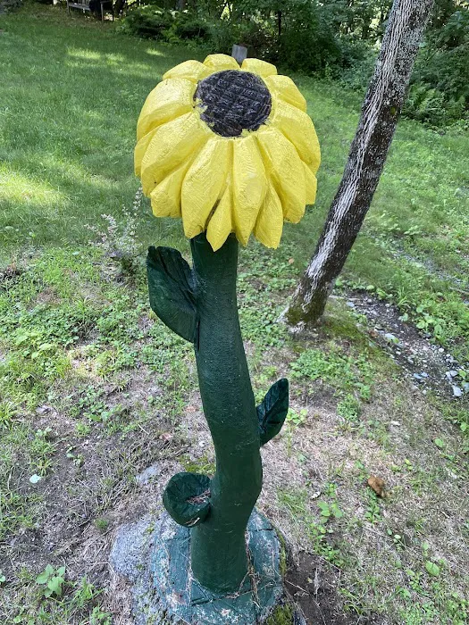 Jacobs Brook Campground Picture 8