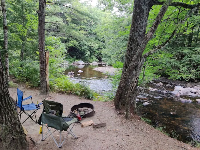 Pine Haven Campground Picture 5