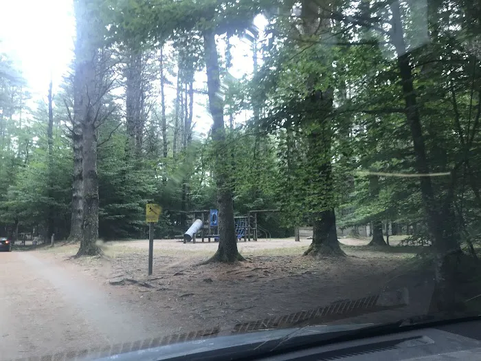 Pine Haven Campground Picture 7