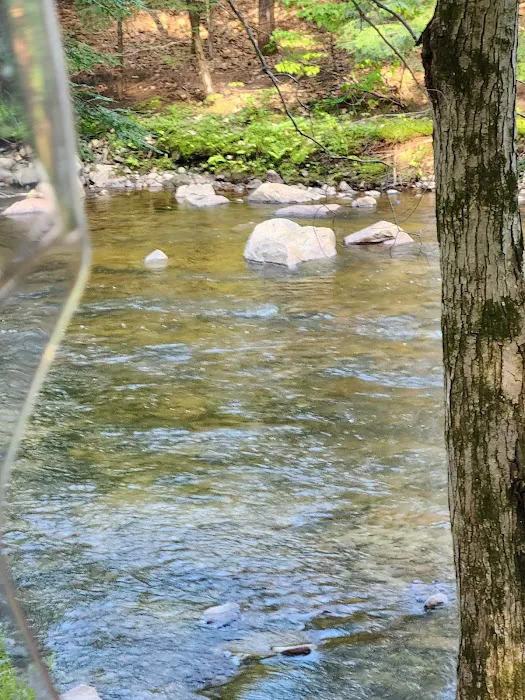 Pine Haven Campground Picture 2