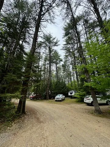 Pine Haven Campground Picture 9