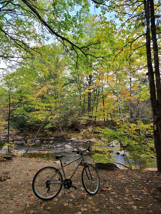 Pine Haven Campground Picture 10