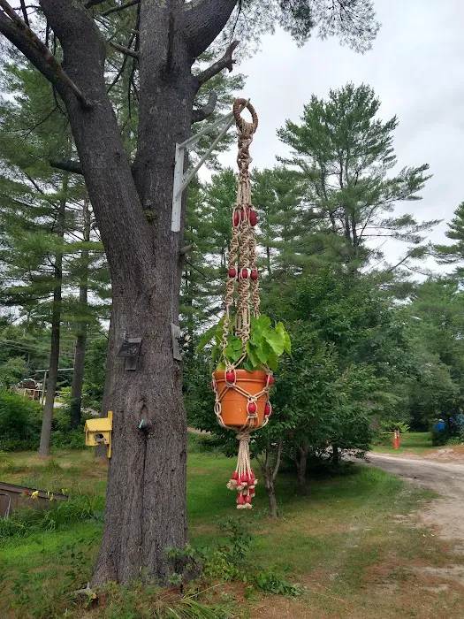 Mountain Pines Campground Picture 7