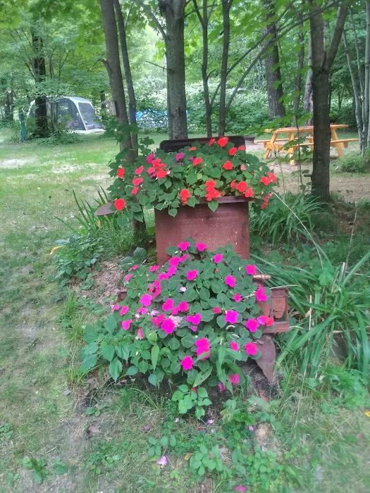 Mountain Pines Campground Picture 6