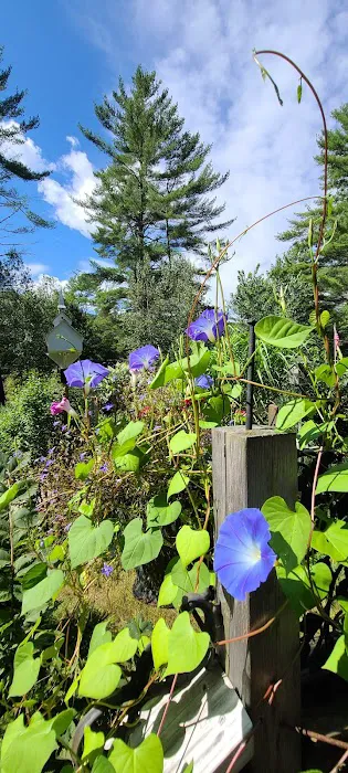 Mountain Pines Campground Picture 5